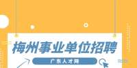 梅州事业单位招聘：2022年丰顺县人民政府办公室招聘