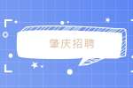 肇庆招聘护士工资一般多少？