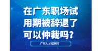 在广东职场试用期被辞退了可以仲裁吗？