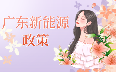 广东新能源政策